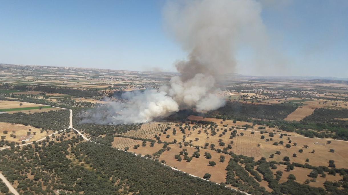 Monte de encinas ardiendo en Malpica de Tajo