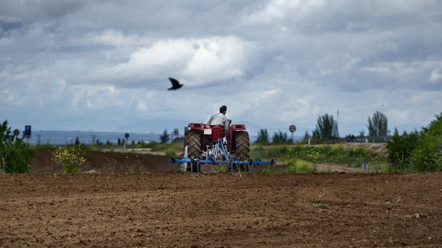 Agricultura recibe 823 solicitudes de jóvenes para incorporarse al campo