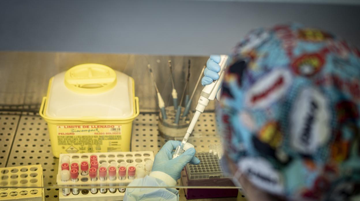 Imagen tomada en un hospital de la provincia de Valencia