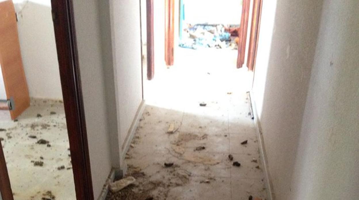 Estado de una vivienda en Yeles tras abandonarla unos okupas. La dejaron llena de heces, basura y un perro muerto