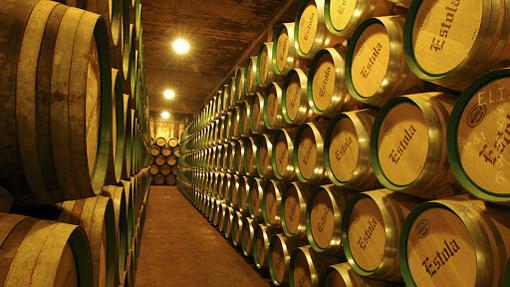 Sala de barricas de Bodegas Ayuso, en Villarrobledo (Albacete)