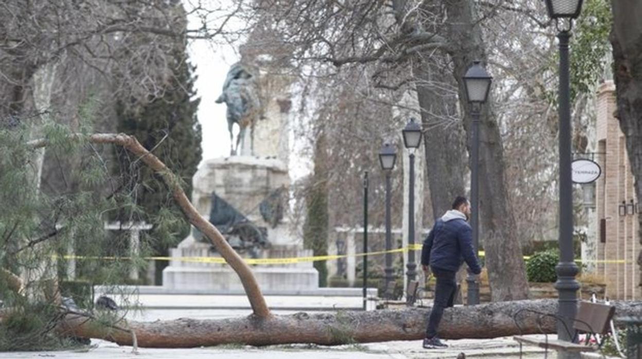 El Retiro y otros ocho parques de Madrid vuelven a cerrarse este domingo por rachas de viento