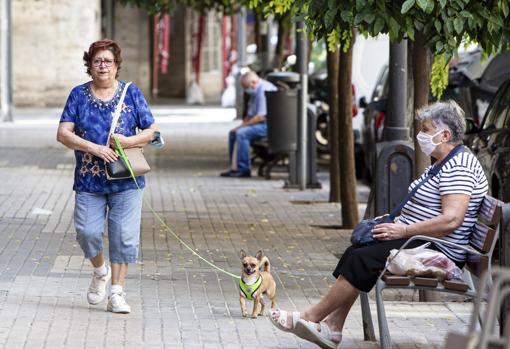 Imagen tomada este jueves en el centro de Valencia