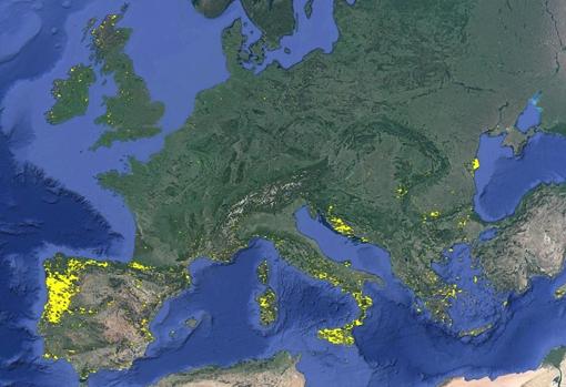 Cartografía europea de incendios forestales para el periodo 2008-2019