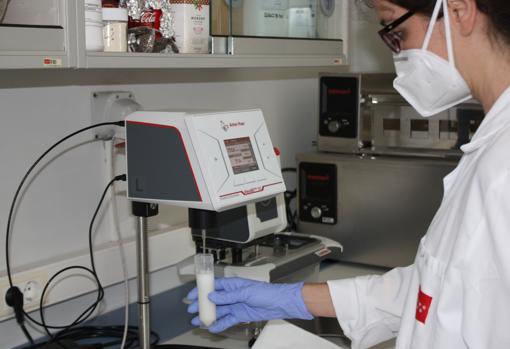 Madrid lidera un estudio pionero sobre las propiedades de la leche de yegua