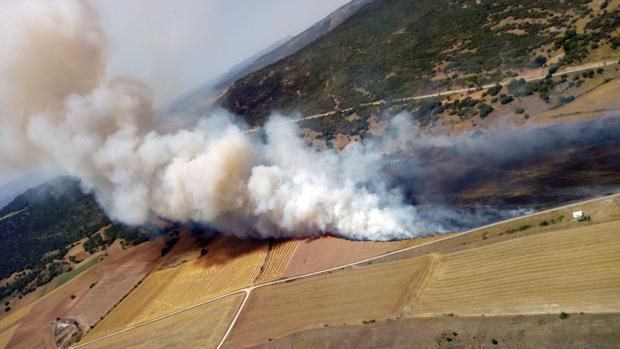 Más de 80 efectivos tratan de extinguir un incendio en una finca agrícola en Colina (Burgos)