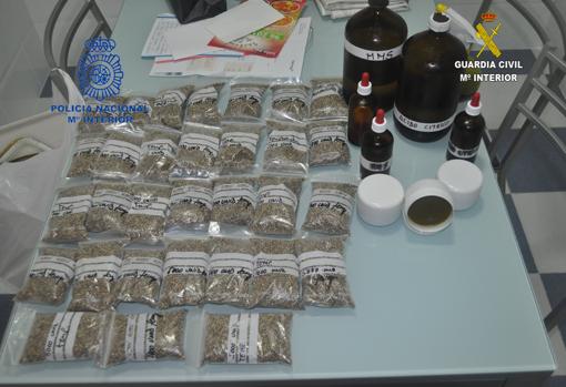 Cae un grupo criminal en Valencia con once detenidos y 700 plantas de marihuana intervenidas