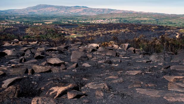 El fuego que arrasó Monterrei fue provocado por «algún desalmado»