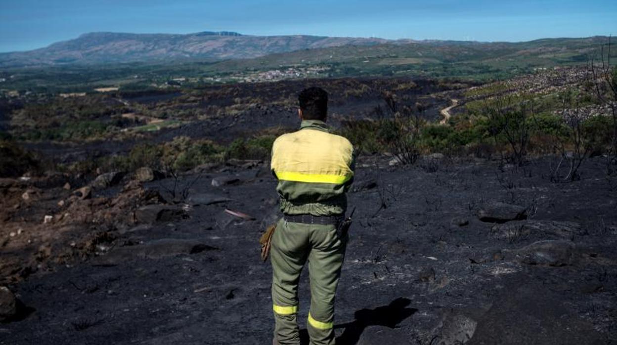 Terreno quemado en el municipio orensano de Monterrei