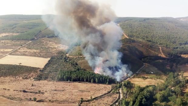 Un incendio de nivel 1 amenaza una zona de pinar en Serradilla del Llano (Salamanca)