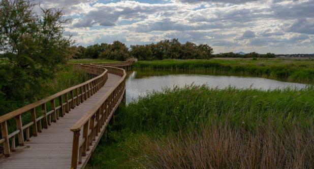 Alertan del peligro de una macrogranja de cerdos para las Tablas de Daimiel