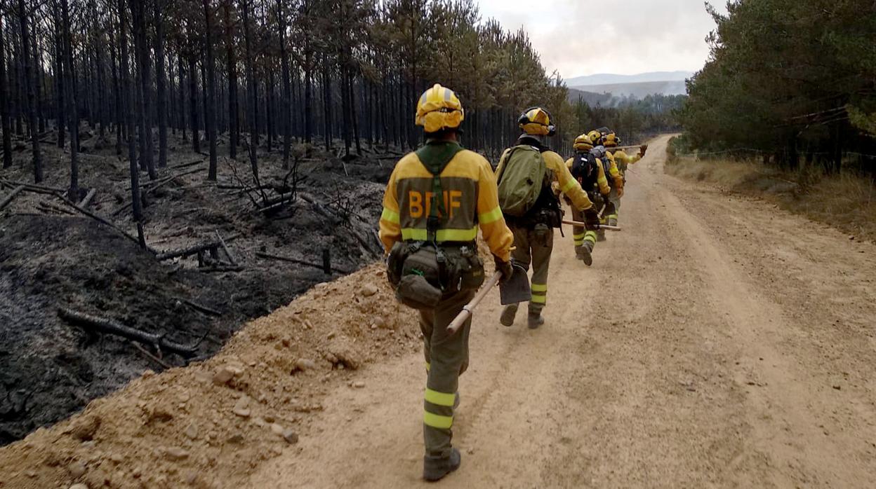 Incendio forestal en Tabanera de Valdavia (Palencia)