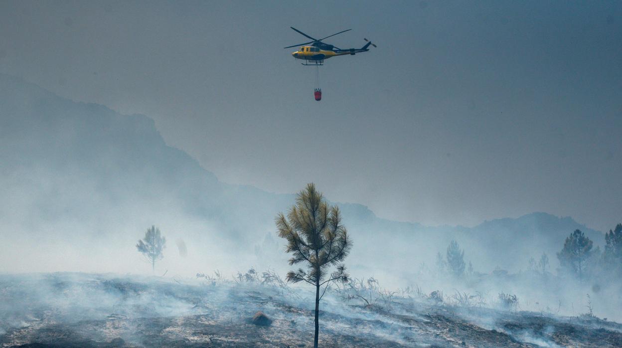 Helicóptero sobrevuela monte quemado en Lobios