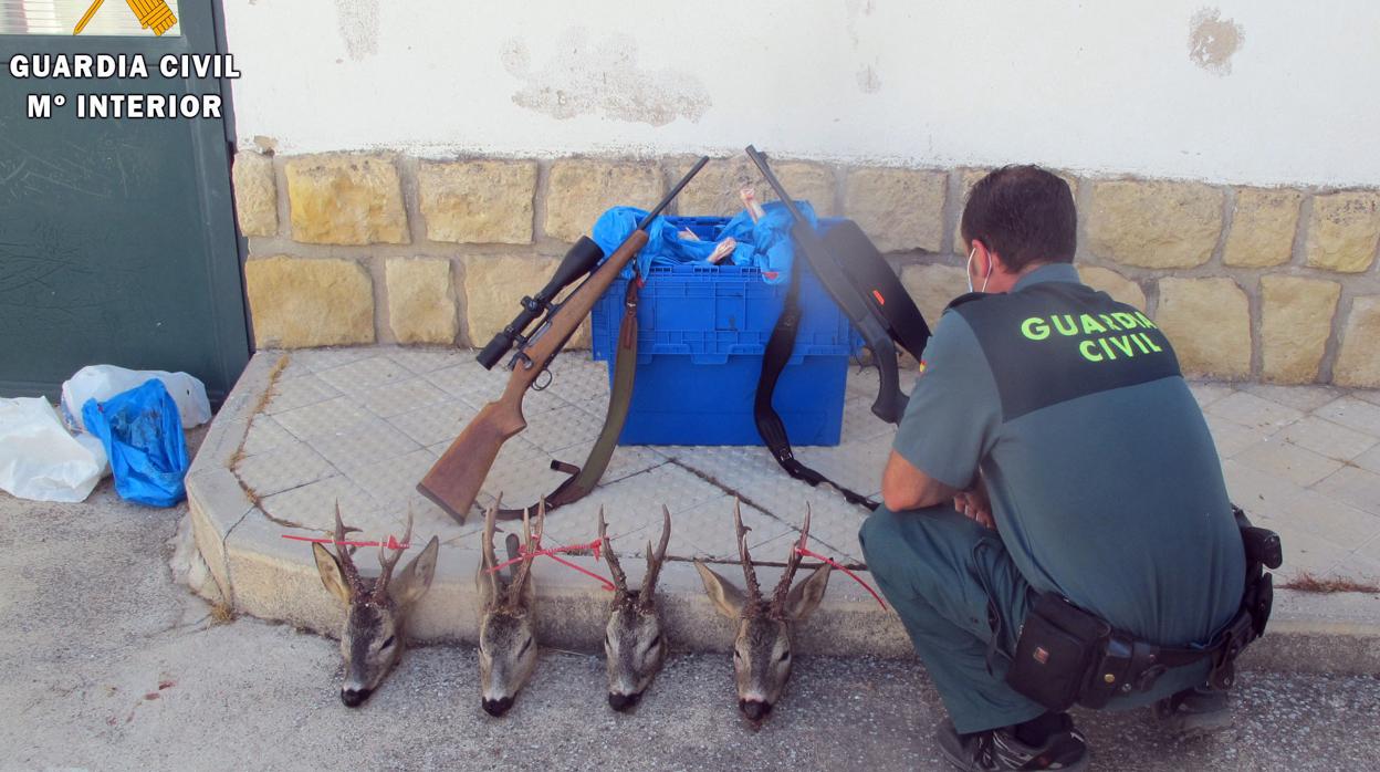 Pillan a cuatro cazadores furtivos en Segovia con cuatro cabezas de corzo y dos rifles