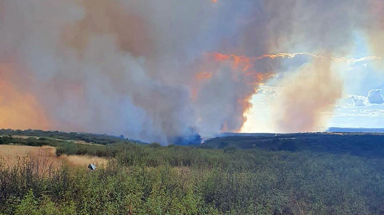 Incendio forestal en Gallegos del Río (Zamora)