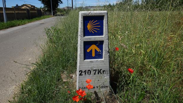 La «app» Alertcops protegerá a los peregrinos en más de 4.000 kilómetros del Camino de Santiago