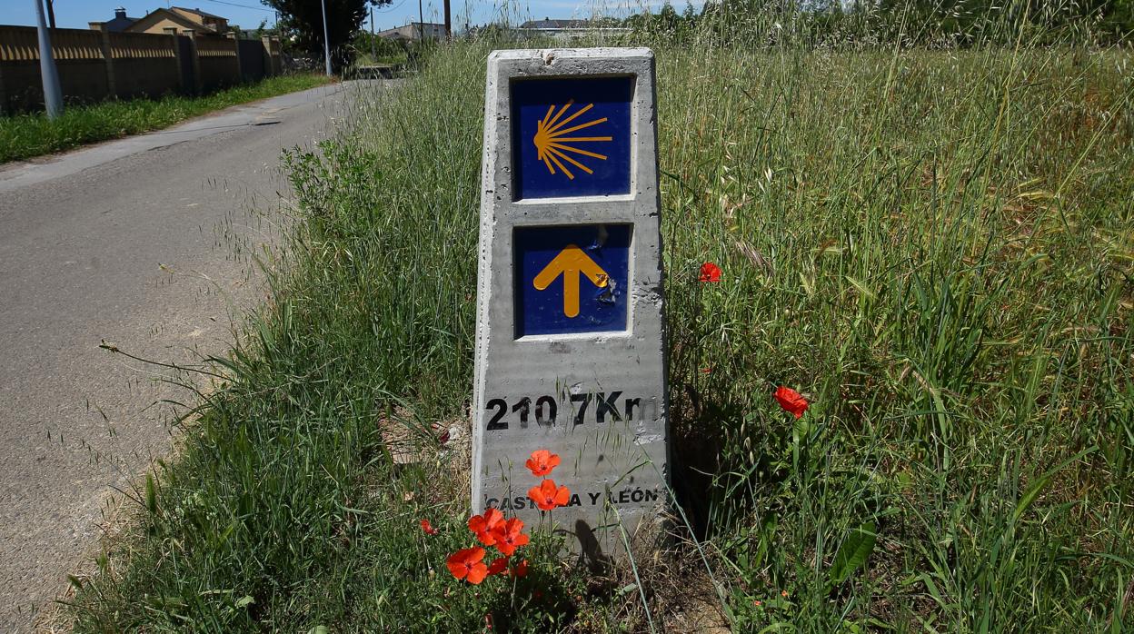 Camino de Santiago