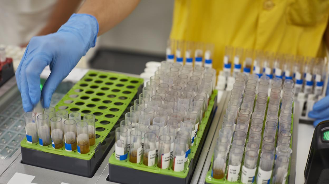 Un hospital de Madrid durante la pandemia