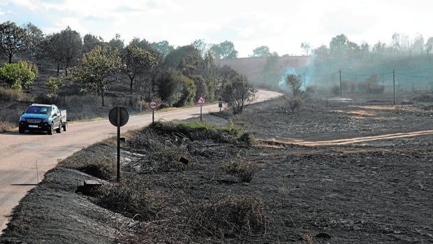 Dos investigados por originar el incendio de Lober (Zamora) cuando segaban