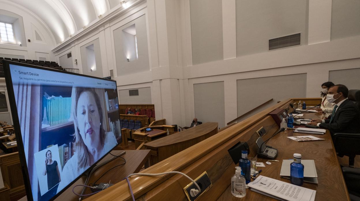 La consejera de Educación participó en el Pleno de las Cortes desde su domicilio por estar confinada al haber estado en contacto con un positivo de Covid