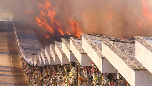 El desbroce de una finca de robles, origen del fuego en la inmediaciones del cementerio de Ponferrada