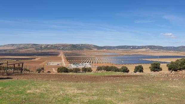 El complejo solar Picón I, II y III produce en nueve meses energía para unos 37.300 hogares