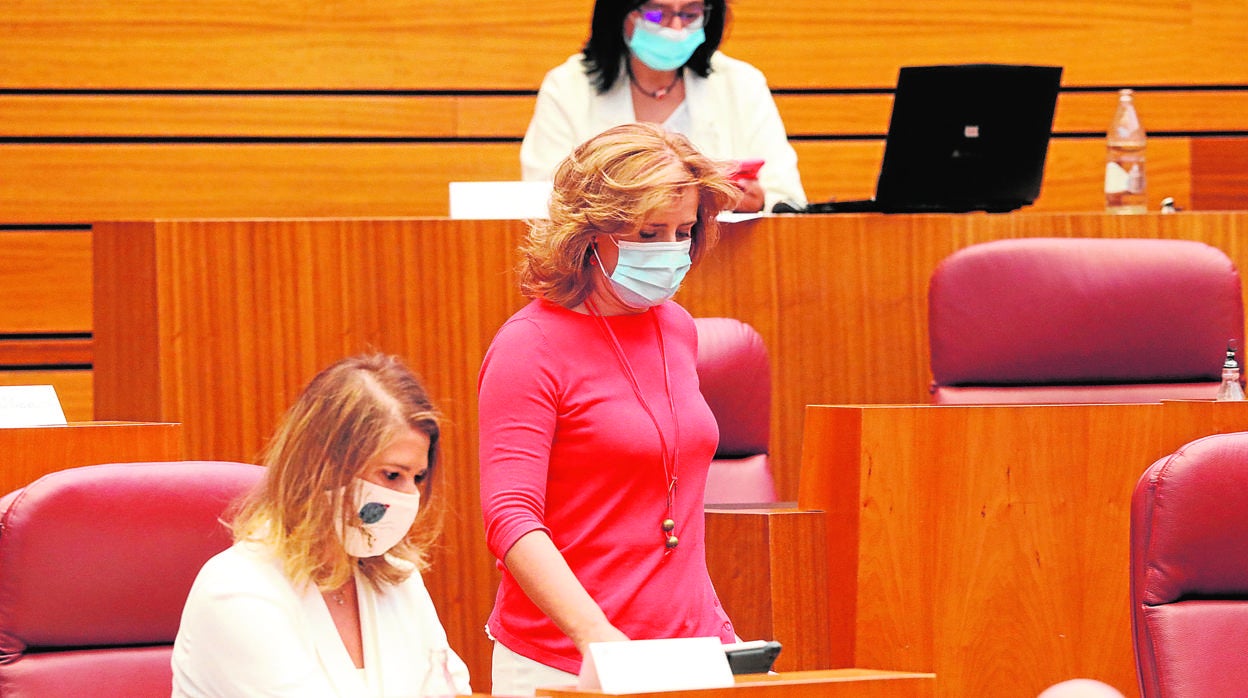 Blanca Negrete (Cs), en su escaño, y Paloma Vallejo (PP), camino de la tribuna de oradores