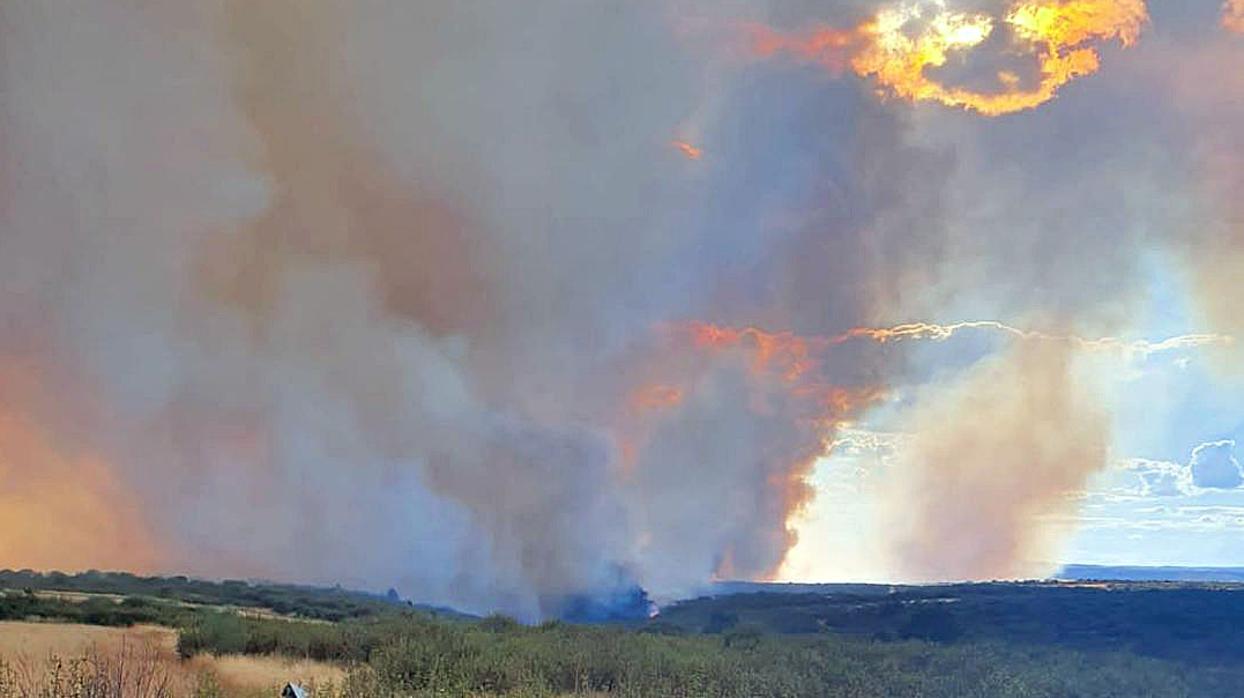 Imagen de archivo de un incendio forestal en la provincia de Zamora