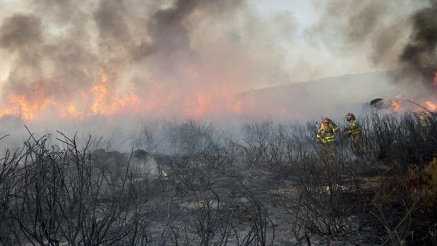 Estabilizado un incendio en A Mezquita (Orense) con 240 hectáreas calcinadas