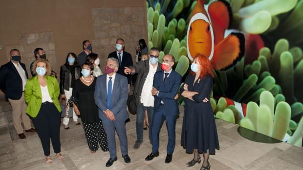 Inmersión en los oceános para concienciar y «levantar el ánimo» desde el Hay Festival