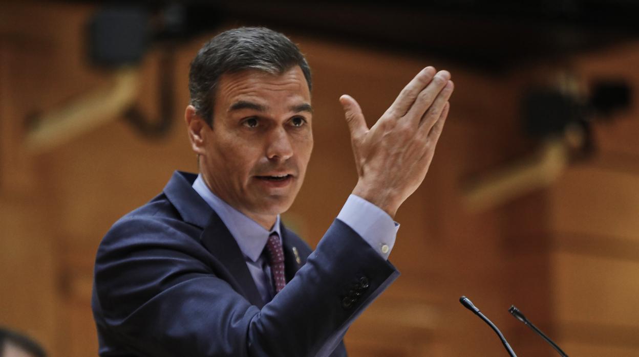 El presidente del Gobierno, Pedro Sánchez, durante su comparecencia ante el Pleno del Senado