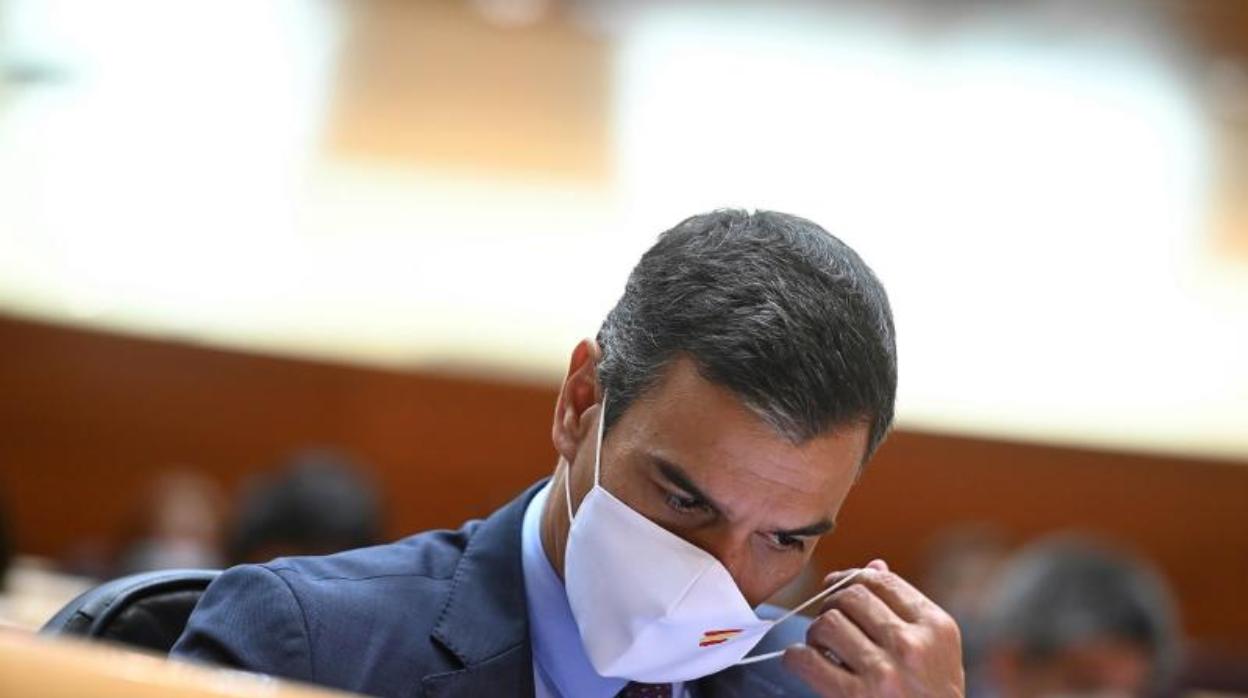 El presidente del Gobierno, Pedro Sánchez, este martes en el Senado