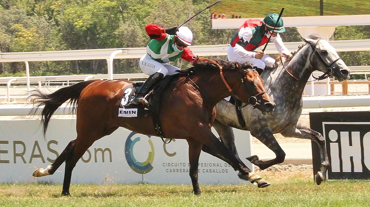 Llegada del Gran Premio de Madrid de este año, ganada por Cnicht y con Emin como segundo