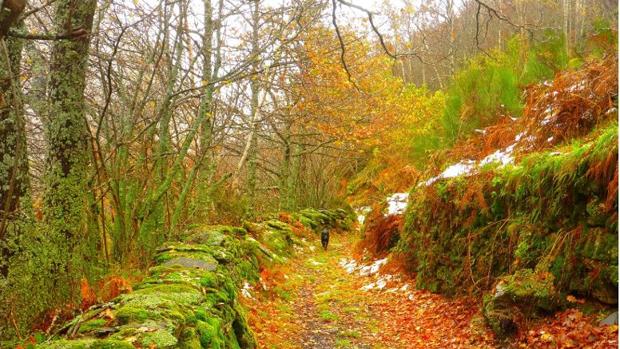 Así será el otoño en Castilla y León: «más calido y seco», con un veranillo de San Miguel hasta octubre