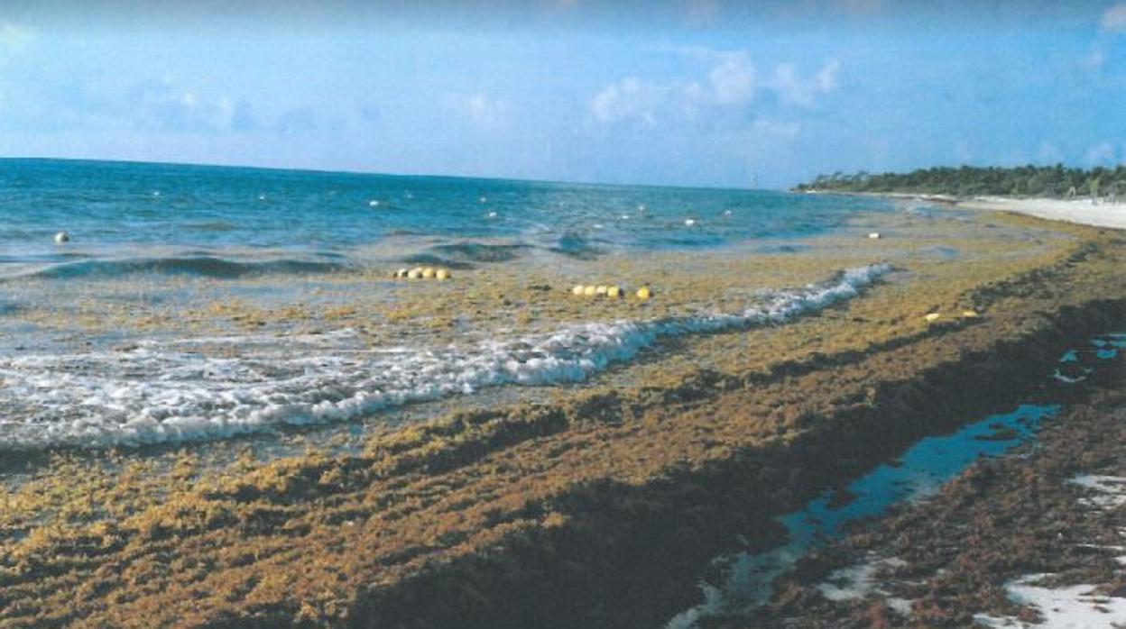 Así se encontró la familia la playa en la que se encontraba el hotel que había reservado