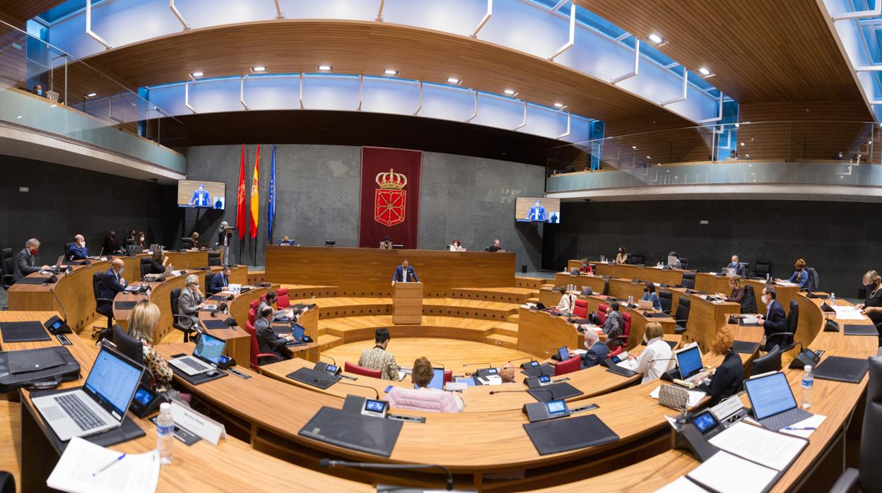 Imagen de hoy del Parlamento de Navarra .