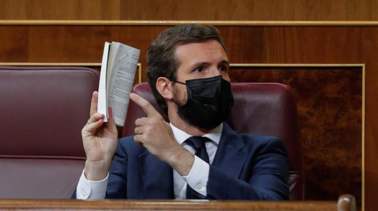 Pablo Casado, líder del PP, en el Congreso