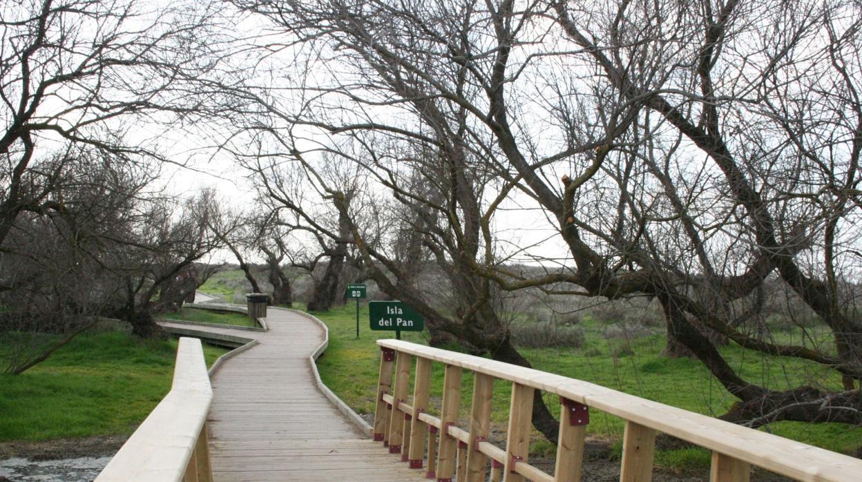 Uno de los puntos del Parque Nacional de las Tablas de Daimiel