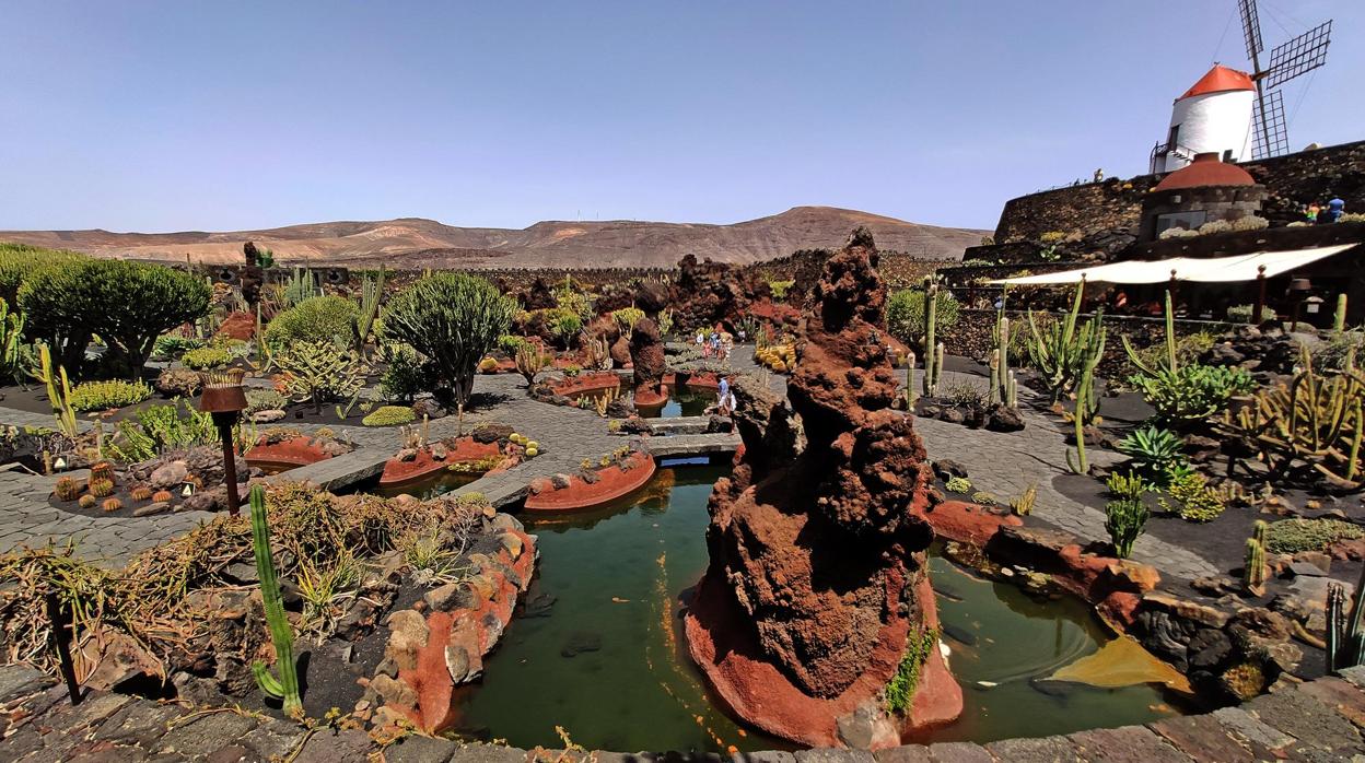 Jardín de Cactus, en Lanzarote