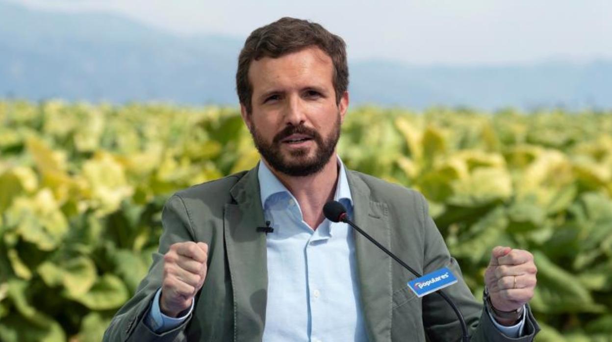 Pablo Casado, líder del PP