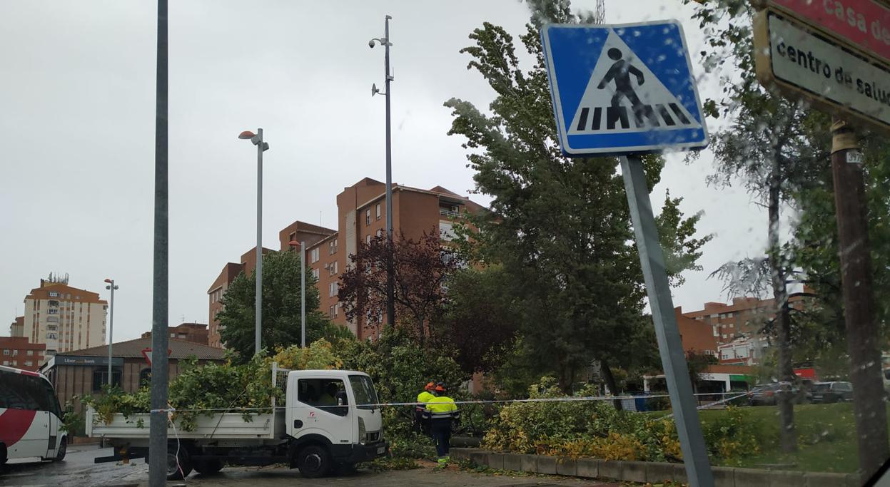 Dos operarios recogen este viernes ramas y árboles caídos en la calle Alberche de Toledo, junto al mercadillo