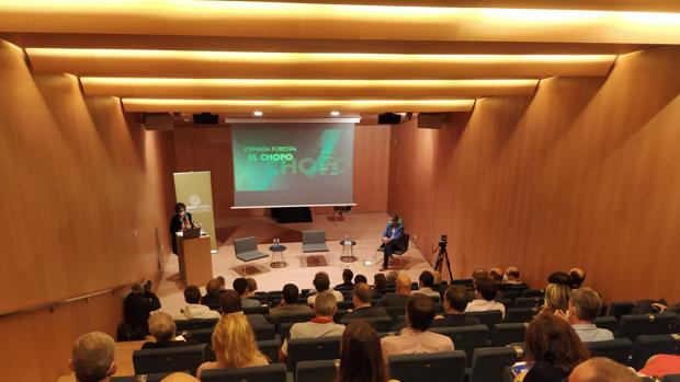 Fijado el techo de gasto no financiero de los Presupuestos en 4.464,6 millones