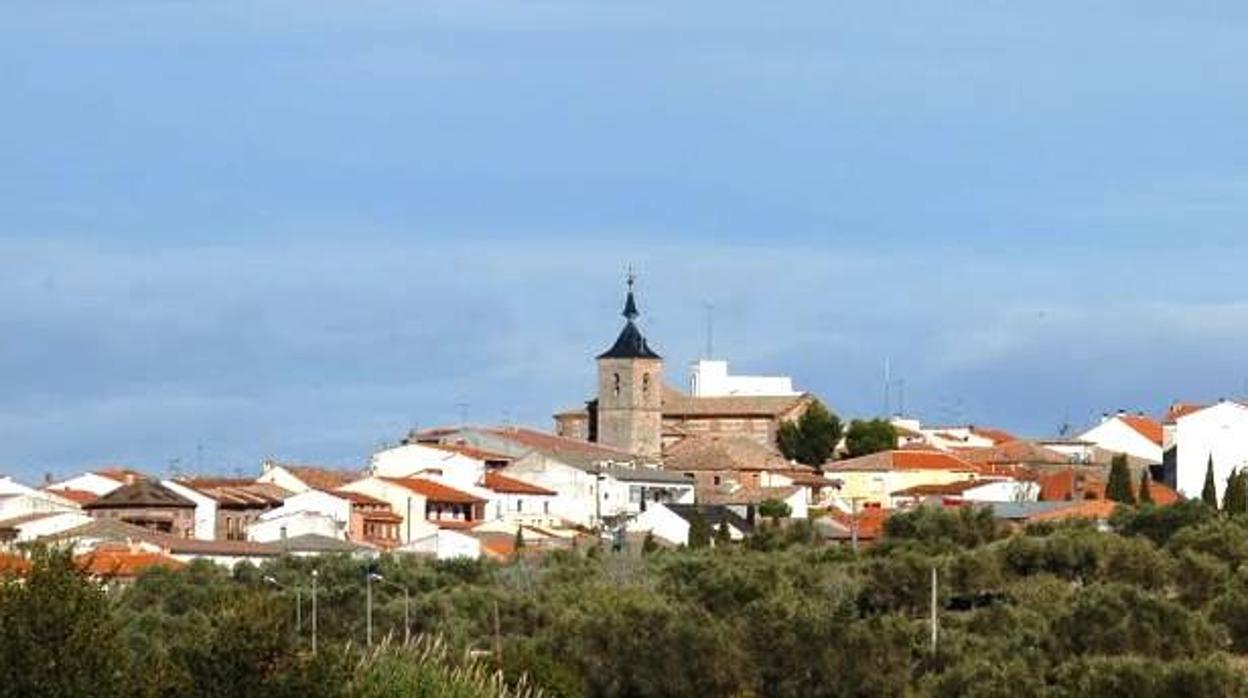 Los hechos tuvieron lugar en un domicilio particular de la Avenida de Toledo de la urbanización Calalberche de Santa Cruz del Retamar,