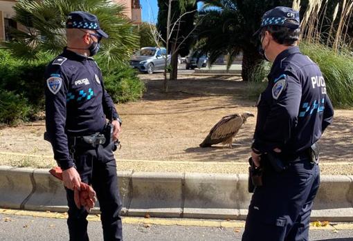 Dos policías municipales junto al ejemplar este mediodía, después de descender del edificio