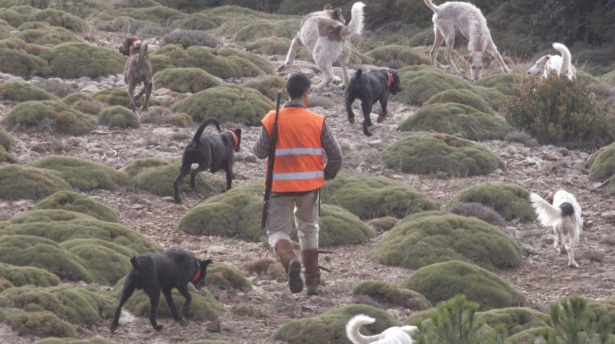 Un hombre rodeado de perros durante una cacería