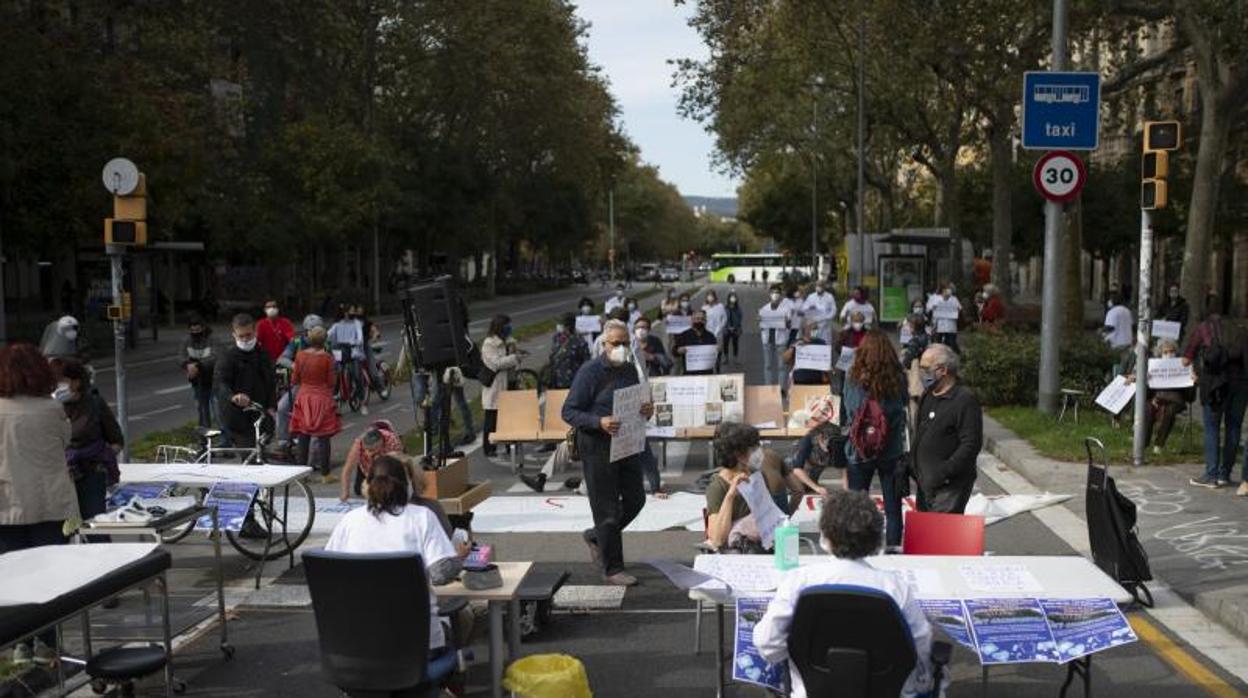 Consulta en la calle, ayer en paseo de Sant Joan