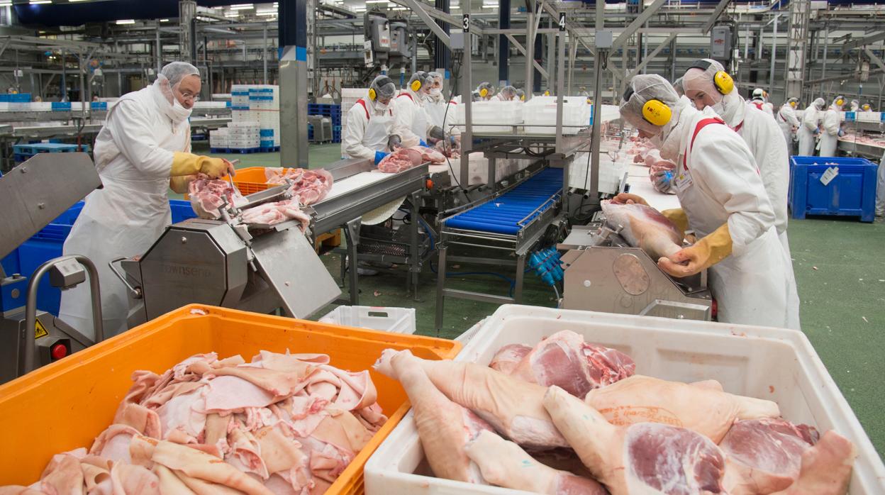 Sala de despiece en la fábrica de Campofrío, en Burgos