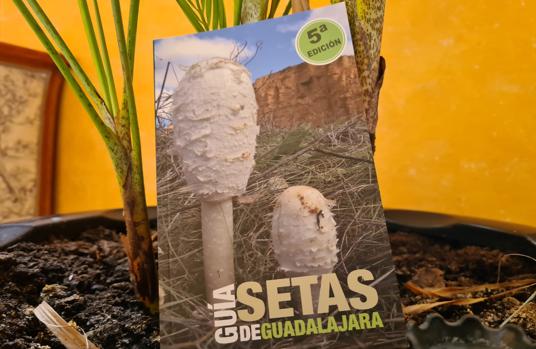 Se edita de nuevo la Guía de Setas de Guadalajara
