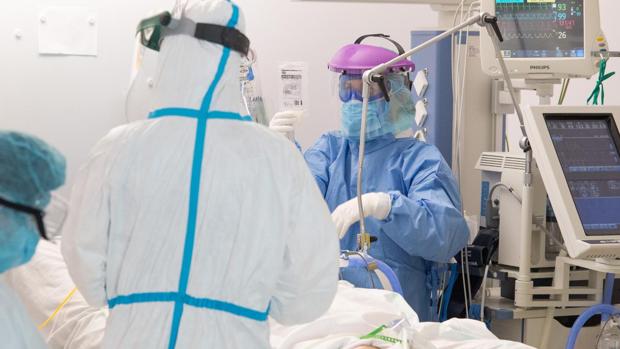 Coronavirus: Suben a 20 los muertos y a 942 los nuevos casos en las últimas 24 horas