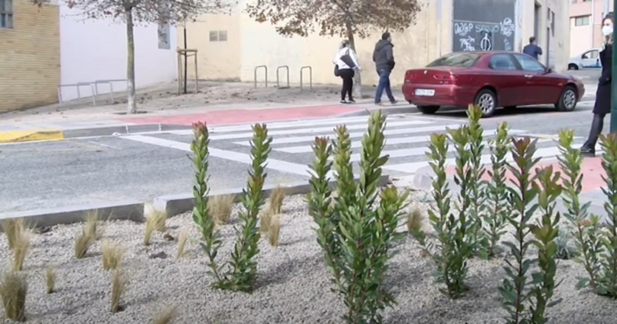 Imagen de un paso peatonal "verde" en Pamplona